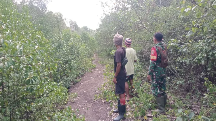 Babinsa Patroli Karhutla di Insit Tidak Ditemukan Titik Api