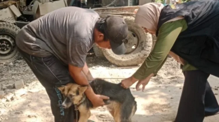 DPTHP Bengkalis Ajak Warga Aktif Cegah Penyebaran Rabies