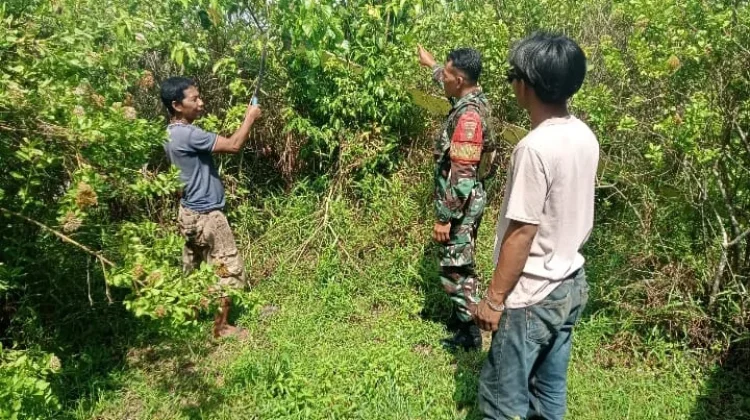 Babinsa dan Warga Patroli Karhutla di Insit, Nihil Titik Api