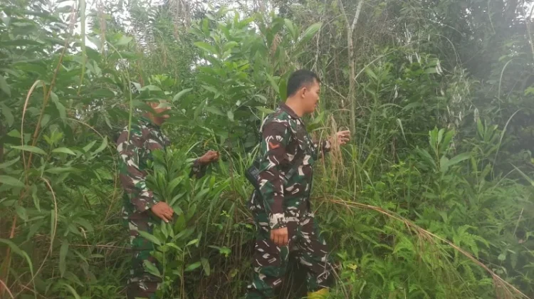 Dua Babinsa Mandau Patroli Cegah Karhutla diwilayah Rawan