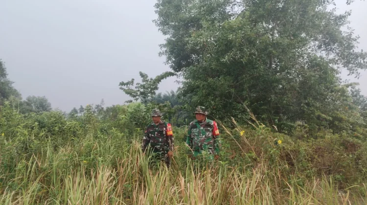 Babinsa Mandau Patroli Karhutla, Pastikan Sakura Duri Barat Aman