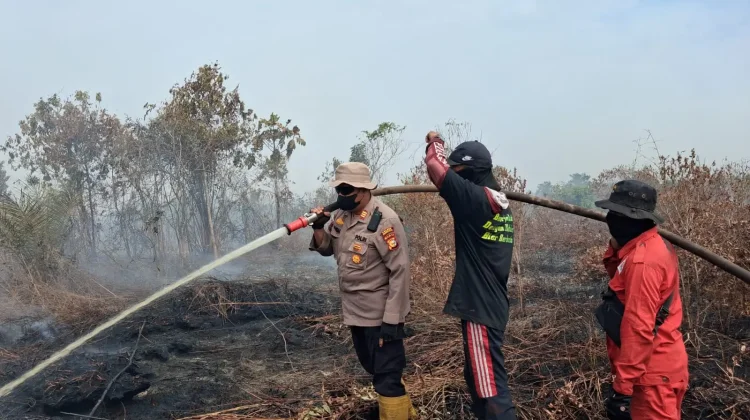 Karhutla 10 Hektare, Tim Gabungan Bergerak di Rupat