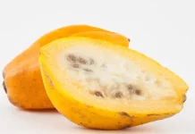 Manfaat Buah Carica untuk Imunitas dan Pencernaan