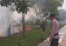 BPBD Siak Padamkan Kebakaran Lahan Tepi Jalan