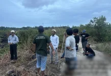 Polres Bengkalis Ungkap Pelaku Karhutla Tiga Hektare