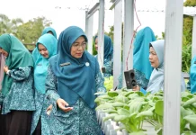 Ketua TP PKK Apresiasi Panen Hidroponik Perdana