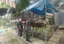 Babinsa Serda Silaban Pantau Ternak Cegah Wabah PMK