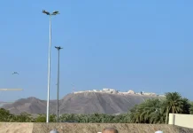 Istana Raja Fahd Madinah, Simbol Pelayanan Kerajaan
