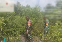 Babinsa Mandau Rutin Patroli Cegah Karhutla