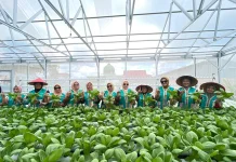 Kisah Perempuan Tangguh Penjaga Iklim Sulap Lahan Gersang Menjadi Ladang Cuan
