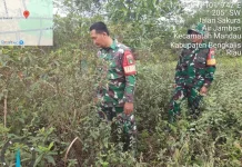 Babinsa Koramil 03/Mandau Intensif Patroli Cegah Karhutla