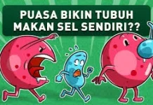 Autofagi, dan Esofagus : Mekanisme “Sel Memakan Bagian Tubuh yang Rusak" saat Puasa