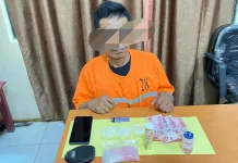 Polsek Siak Kecil Tangkap Pengedar Sabu dan Pelaku