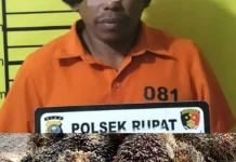Kerab Meresahkan Warga, Polsek Rupat Tangkap Ninja Sawit