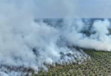 Karhutla Ancam Cagar Biosfer Giam Siak Kecil Bengkalis