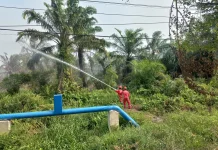 Petugas FERT PHR Berjibaku Ikut Membantu Padamkan Karhutla di Dumai