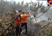 BPBD Catat Hotspot Tersebar di Sejumlah Wilayah Bengkalis
