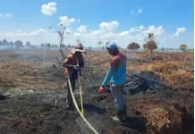 BPBD Ungkap Tiga Faktor Utama Penyebab Karhutla di Bengkalis