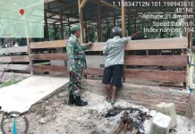 Rutinitas Babinsa Mandau Pantau Ternak Cegah PMK