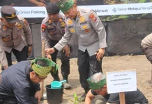Kapolda Riau Tanam Geronggang di Rupat