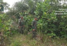 Patroli Cegah Karhutla Terus dilaksanakan Babinsa diwilayah Rawan