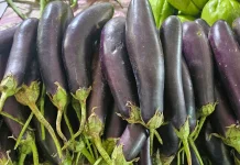 Terong Kaya Manfaat, Ini Tips Mengolahnya agar Tetap Lezat dan Sehat