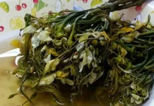 Jaruk Kambang Tigarun, Lalapan Pahit Khas Banjar