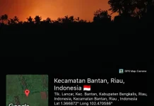 Karhutla Teluk Lancar Meluas, Puluhan Hektare Lahan Terbakar