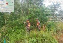 Babinsa Mandau Intensif Patroli Cegah Karhutla sejak Dini
