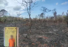 Polisi Tangkap Pelaku Karhutla Rupat Utara