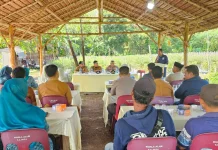BUMDes Kuala Alam Fokus Kembangkan Budidaya Cabai