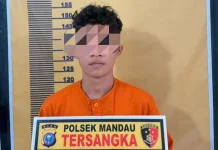 Suami Aniaya Istri di Mandau, Ditangkap Polisi