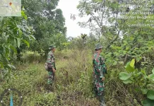 Patroli Cegah Karhutla Terus dilakukan Babinsa Koramil 03/Mandau