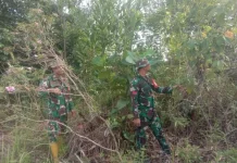 Babinsa Mandau Terus Intensifkan Patroli Cegah Titik Api