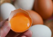Manfaat Telur Omega untuk Ibu Menyusui
