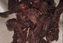 Kelezatan Belut Goreng Kencur Khas Nusantara