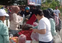 Cabai Lokal Bengkalis Laris Manis, Bukti Potensi Pangan Desa Menjanjikan
