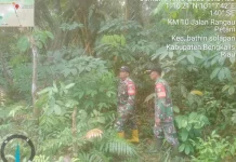 Babinsa Koramil 03/Mandau Gencar Patroli Cegah Karhutla sejak Dini