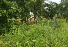 Patroli Rutin Babainsa 03/Mandau Cegah Karhutla sejak Dini