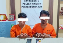 Dua Pengedar Sabu Digulung di Pinggir, Satu DPO Diburu