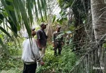 Babinsa Tebing Tinggi Rutin Patroli Karhutla di Alahair Timur