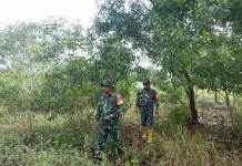 Babinsa Koramil 03/Mandau Patroli Pencegahan Karhutla Wilayah Rawan