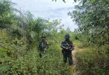 Babinsa Mandau Intensif Patroli Cegah Karhutla di Batin Solapan