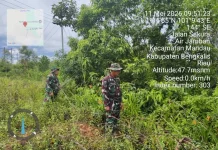 Serma TR Lase Bersama Serka Alinapsi Giat Patroli Cegah Karhutla
