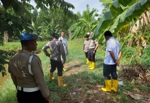 Polsek KSKP Dumai Gandeng Pertamina, Siapkan 1 Hektare Lahan Tanam Jagung