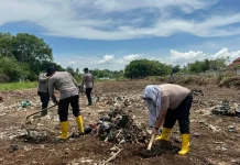 Polsek KSKP Dumai Sulap Lahan Bekas Sampah Jadi Kebun Jagung