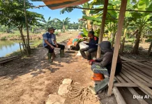Polisi Turun ke Ladang, Jagung 1,1 Hektare di Dumai Tumbuh Subur
