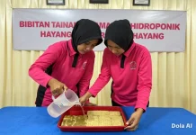 Bhayangkari Polsek KP Dumai Tabur Benih Pakcoy Hidroponik