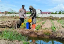 Cek Jagung di Lahan Pertamina, Polisi Kawal Ketahanan Pangan
