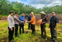 Kapolsek Bengkalis Serahkan Bantuan Alat Pertanian pada Petani Jagung
